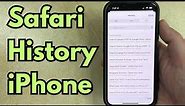 Safari History iPhone 13: How to Find and Clear it