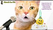 CAT HAPPY BIRTHDAY SONG | Adorable Cute Cat 😺