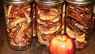Dehydrated Apple Chips, Better Than Store Bought