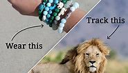 The Original Animal Tracking Bracelets