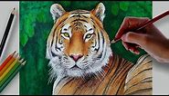 Tiger - How To Draw A Royal Bengal Tiger - Easy And Simple Steps |