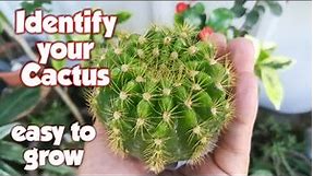 Cactus Names and Pictures - Cactus Identification