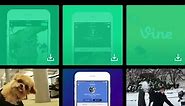 THIS IS HOW YOU SHOULD USE THE VINE CAMERA APP // NANO NEWS 📸