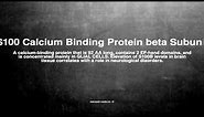 Medical vocabulary: What does S100 Calcium Binding Protein beta Subunit mean