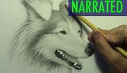 How to Draw a Dog [Narrated Step by Step]