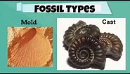 Fossil Types for beginners