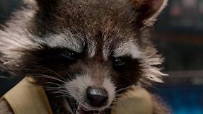 Guardians Of The Galaxy 1 - Rocket Best Moments