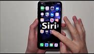 How to Call Siri - iPhone 11 (iOS 13, 14 or 15)