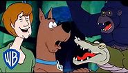 Scooby-Doo Where Are You! | Animal Encounters 🐊 | 10 Minutes of CLASSIC Cartoons! | WB Kids