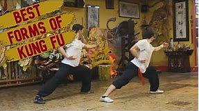 TOP 5 KUNG FU STYLES & THEIR SIGNATURE FORMS