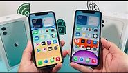 iPhone 11 White vs Green Color Comparison