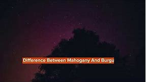 What Color Is Mahogany And How Is It Different From Burgundy?