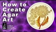 How to Create Agar Art with Living Microbes