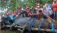 'Largest' crocodile caught in Philippines