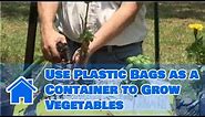 Container Gardening : How to Use Plastic Bags as a Container to Grow Vegetables