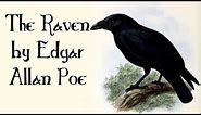 The Raven by Edgar Allan Poe - Quoth the Raven, Nevermore - Poetry for Kids, FreeSchool