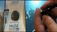 Samsung Muse MP3 player (aka the S Pebble)