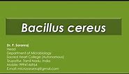 Bacillus cereus