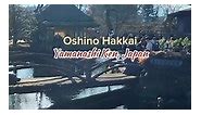 📍Oshino Hakkai ♥️ Yamanashi Ken, Japan 🇯🇵 | Japan Explore