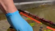 Hydro Dipping IPhone Cover #satisfying #hydrodipping | HTF-Wassertransferdruck