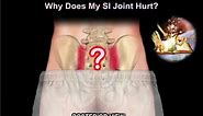 sacroiliac Joint pain why it Hurts - Everything You Need To Know - Dr. Nabil Ebraheim
