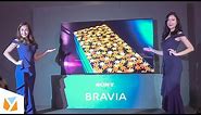 Sony BRAVIA A9G MASTER Series 4K OLED TV First Look