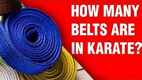 How Many Belts Are In Karate?