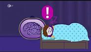 Warum Kinder viel Schlaf brauchen - logo! erklärt - ZDFtivi