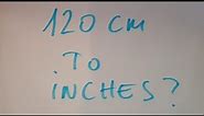 120 cm to inches?