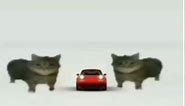 This is a Mazda Miata #fyp #fypシ #car #mazda #meme #funny #cat #fun