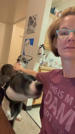 49 reactions · 8 comments | Which nephew can inch closer to Aunt Lynn?!  | Lynn Butler | Facebook