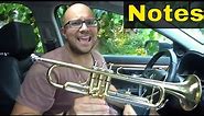 First 8 Notes On A Trumpet-How To Play Them-Beginner Lesson