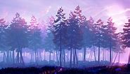 Aesthetic Pine Forest Live Wallpaper - MoeWalls