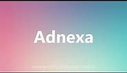 Adnexa - Medical Meaning