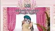 Long Distance Relationship Memes for you #cat #shorts #relatable