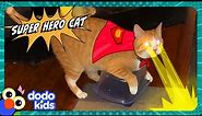 Super Hero Cat Fights Crime And Saves…Containers? | Dodo Kids | Animal Videos