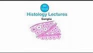 Histology Lectures || Ganglia || Dr Ashok K R