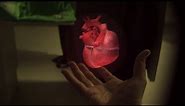 Interactive Live Holography by RealView Imaging - First Ever Medical Holograms