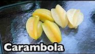 All About Carambola (Star Fruit)