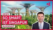 Smart City Singapur: Stadtstaat zwischen Innovation und Nachhaltigkeit | LOOKAUT