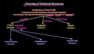 Overview of Divisional Organizational Structures | Organizational Design | MeanThat