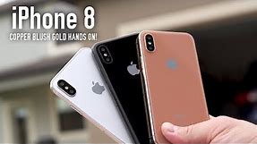 Apple iPhone X Blush Gold Model Hands On (ALL COLORS)