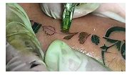 Karlvtattoo - Floral Ukulele Custom Piece 🌺 Done at Tattoo...