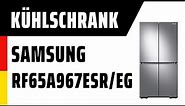 Kühlschrank Samsung RF65A967ESR/EG | TEST | Deutsch