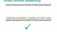 What is Whole Genome Sequencing?