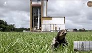 NewsDepth:Petting Zoo: Sloth Steals Rocket's Spotlight Season 53 Episode 26