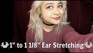 Ear Stretching| 1inch to 1 1/8