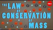 The law of conservation of mass - Todd Ramsey