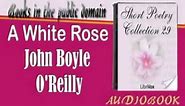 A White Rose John Boyle O'Reilly Audiobook Short Poetry