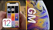 iOS 12 GM Released & Official iPhone XS Wallpapers!